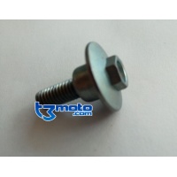 Tornillo especial M6 x 20